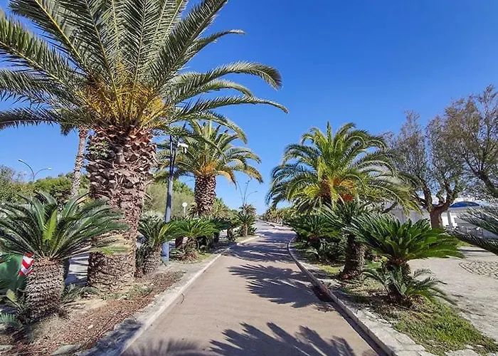 Design A Due Passi Dalla San Benedetto del Tronto